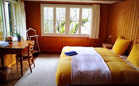 Sonnenhof Wengen - First Hotel Of Wengen